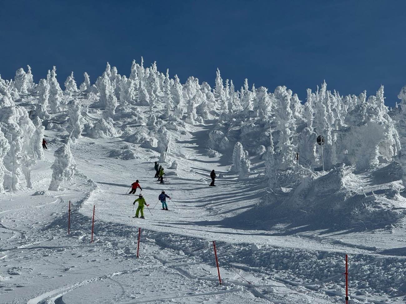 Skiers descending a snowy run below a ridge of heavily snow-laden trees